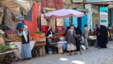 من التدريس إلى التشرد.. الحوثي يتسبب بـ«الجنون» لدكتور جامعي (فيديو)