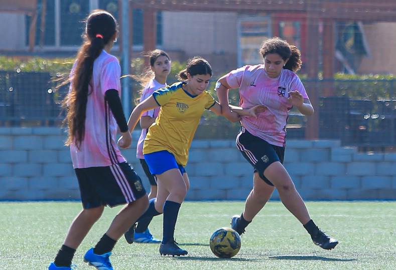 دوري الدرجة الثانية للكرة التسائية