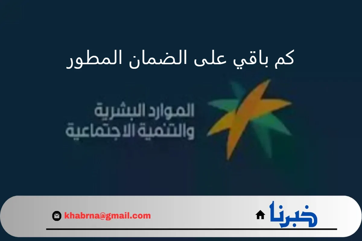 كم باقي على الضمان المطور شهر سبتمبر 2024؟.. خطوات الاستعلام عن أهلية الدورة 33