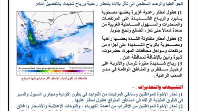 الأرصاد الجوية تحذر من تأثر بلادنا بأمطار رعدية ورياح شديدة خلال الـ48 القادمة