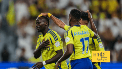 أرقام النصر في آخر 17 مباراة بدوري روشن