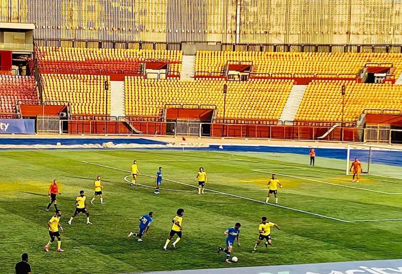 دوري المحترفين